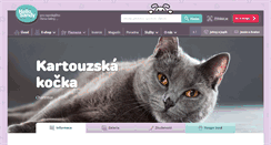 Desktop Screenshot of kartouzska-kocka.miciny.cz