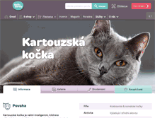 Tablet Screenshot of kartouzska-kocka.miciny.cz