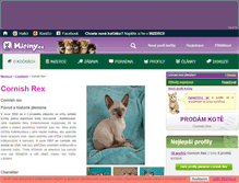 Tablet Screenshot of cornish-rex.miciny.cz